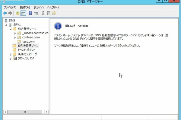 オラクる。 - DNS