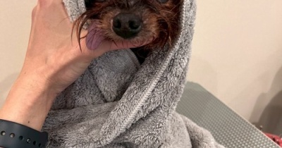 あと何回？って考えちゃった…