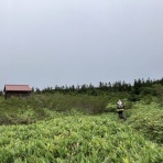 小松ブルーベル山の会