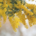長崎＠諫早市民 ふくちゃんの食う・寝る・遊ぶ日記