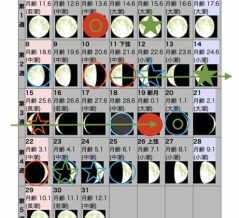 アリとキリギリスは、どちらが残るのか