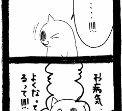 ドワーフキャットタオルちゃん93