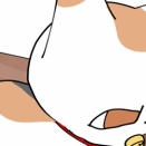 古本屋猫物語🐱あずきちゃん⑩