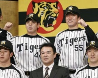 阪神タイガースの2013年ドラフト、ガチで神だった