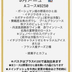 ボーシュマン日記