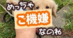 帰ってきてると思う。