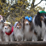 メロディ＆ミニーの写真館