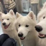 矢場動物堂 スタッフブログ 名古屋パルコ5階