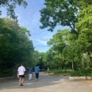靱公園バラ園　‘26　　　靱公園