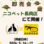 爬虫類倶楽部ファームブログ