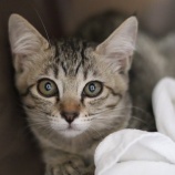 『6月26日（土）～27日（日）の営業について』の画像