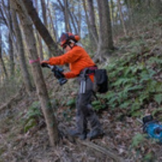 岩殿満喫クラブ　岩殿 Day by Day