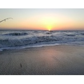 ありがとう鹿島灘サーフ２０１５年初水揚げ