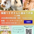保護うさぎ譲渡会 第40回 保護うさぎさんに逢おうの会in大阪【9/20】