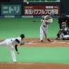 日ハムとか言う日本シリーズで負け続ける球団