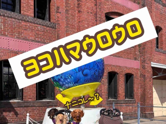 ヨコハマさんぽ。