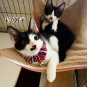 栄華、栄冠のお届けでした♪