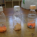 広場ペットボトルのおもちゃ作り