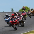 今年こそは観てみたい！「King of the Baggers」Part3