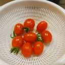 ����ʥ��������Ȥ��餷�ʤ��ᤴ�����ΤäƲ����֤�������ʾС� ǭ�ϥ������������ʤ�����Ǥ��ߤ���������( ◠‿◠ )