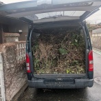 ＭＤ馬鹿一代 ＬＤ版