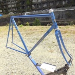 完覇！超記録！！