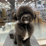 静岡県伊東市 ワンラブ カインズ伊東店 スタッフブログ