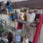 *【100均リメイク】鉢ポットをペイントでもっと可愛く♡*