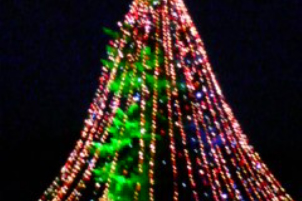 中澤マイケルのヌルヌルブログ michael nakazawa s slick blog 2009年12月