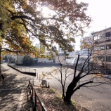 『山じゃないですが北松戸の紅葉』の画像