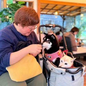 しっぽブンブン、ぬくもりカフェ時間 : かぼすちゃんとおさんぽ