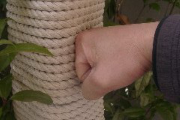 巻き藁 違う空手