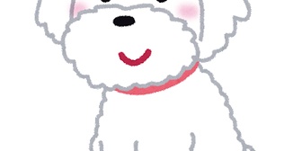 飼い主「ここに犬いなかった？」私「あっちに逃げた」小学生の私は大人に悪意のある目で見られたショックで固まってしまい…