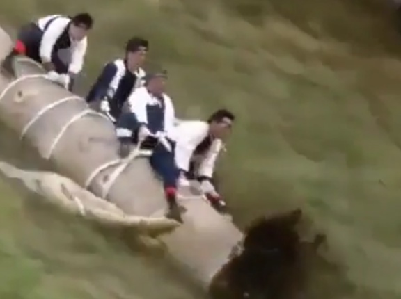 この日本の危険な祭りってどう思う？　海外の反応。