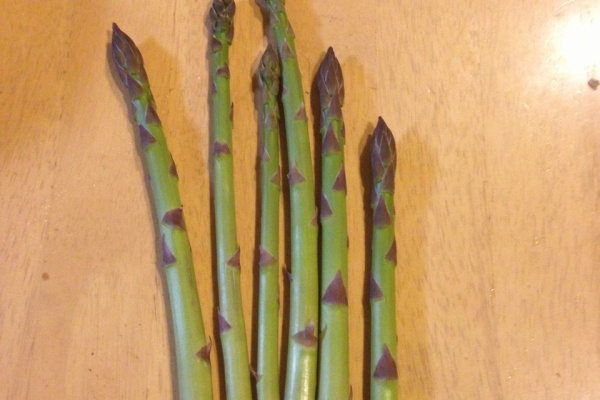 道産子サラリーマンの北海道生活を楽しむ方法 13年05月