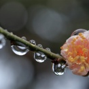 最後は一人だねぇ～