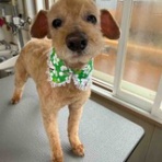 ぱっぽとにゃんの仲良しブログ♡♡♡