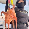8月3日の釣果報告🐙🐙🐙🐙🐟