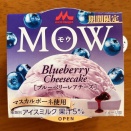 MOW ブルーベリーレアチーズ（森永）