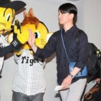 一緒に阪神タイガースを応援しよう！