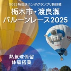 �����ڻԡ�������BR2025��Ǯ���巸α�θ����Τ�����٤β���