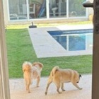 『色々あります。過ぐ世現つ世紡ぐ糸MM573』の画像