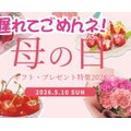 本日2026/5/10（日）は店頭の定休日～【自動投稿】冷えたお茶ペット配達中