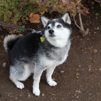 観音裏黄昏備忘録