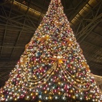 hanaのディズニーとおでかけ