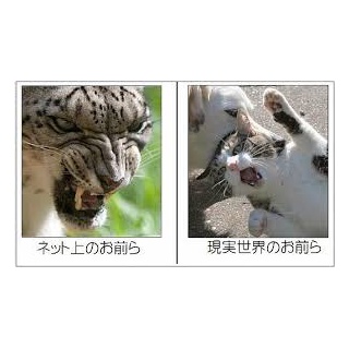 『匿名掲示板で初めて罵倒された時の絶望感と恐怖感wwwww』の画像