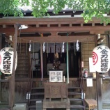 『御神木から生まれた天狗像！大綱金刀比羅神社』の画像