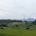 Ancient Botanical Garden