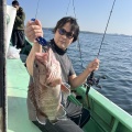 ジギング　泳がせ