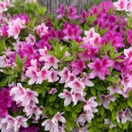 孫ちゃんに離乳食を食べさせながら、食育についてあれこれ